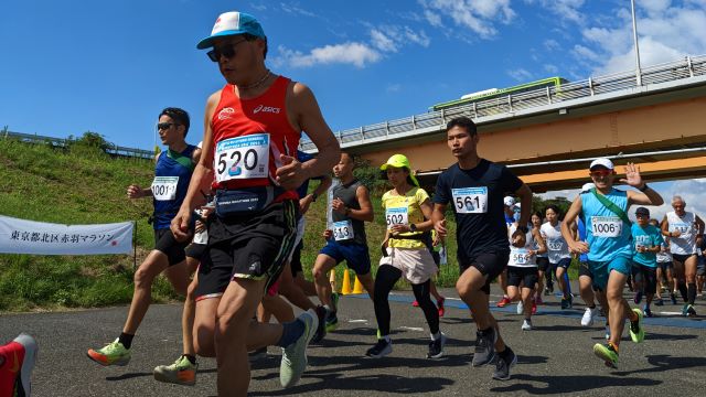 訪問着 羽模様 グラデーション☆売り切り価格！☆ 6万円均一】 【TOKIOetTOKI 羽田登喜】 特選京友禅紋意匠地小紋 ≪御